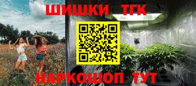 прущие крисы Новозыбков
