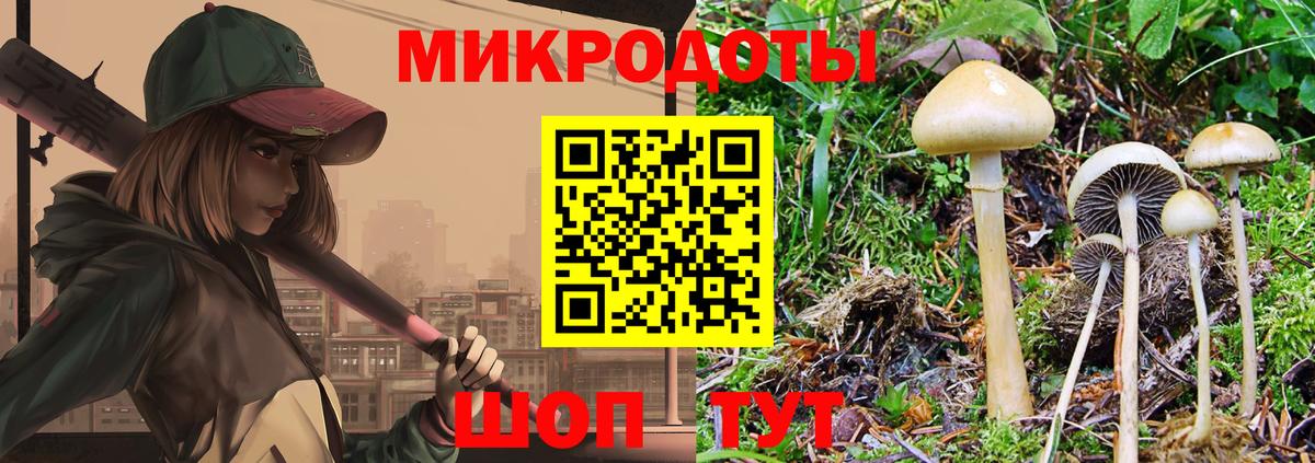Полевской  Псилоцибиновые грибы GOLDEN TEACHER  Псилоцибиновые грибы GOLDEN TEACHER  Вход с VPN 