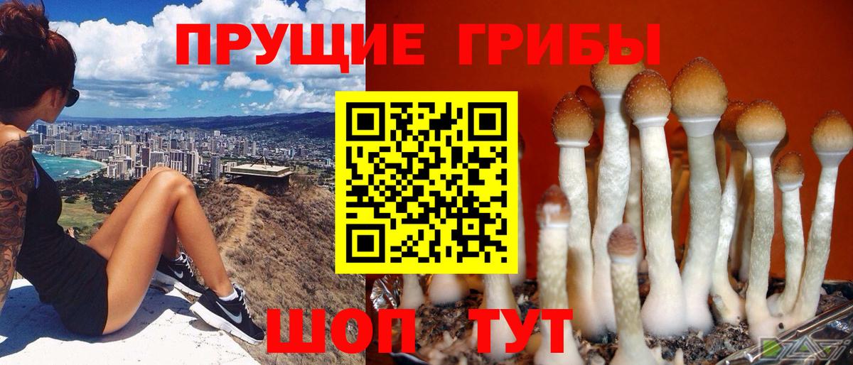 NBOMe  ГАШИШ  Марихуана  Кокаин  Полевской  Вход с VPN  Меф МЯУ МЯУ кристаллы  Альфа ПВП СОЛЬ  