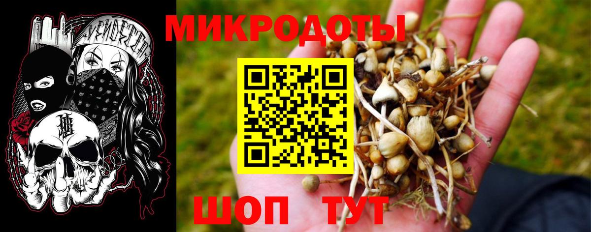 ГЕРОИН Полевской